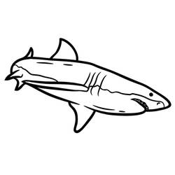 Shark (Animals) coloring page #177722 to print and color