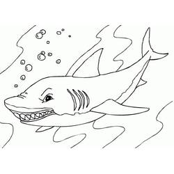 Shark (Animals) coloring page #217017 to print and color