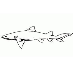 Shark (Animals) coloring page #217018 to print and color