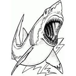 Shark (Animals) coloring page #217025 to print and color