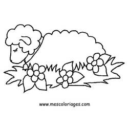 Coloring page: Sheep (Animals) #11391 - Printable coloring pages