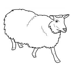 Coloring page: Sheep (Animals) #11396 - Free Printable Coloring Pages