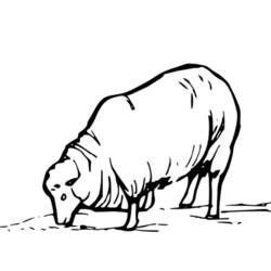 Coloring page: Sheep (Animals) #11410 - Printable coloring pages