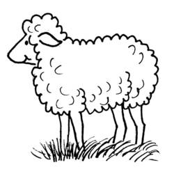 Coloring page: Sheep (Animals) #11412 - Printable coloring pages