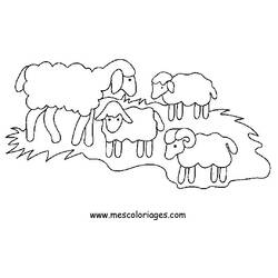 Coloring page: Sheep (Animals) #11414 - Printable coloring pages