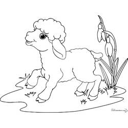 Coloring page: Sheep (Animals) #11422 - Printable coloring pages