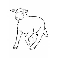 Coloring page: Sheep (Animals) #11428 - Free Printable Coloring Pages