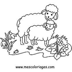 Coloring page: Sheep (Animals) #11436 - Printable coloring pages
