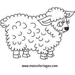 Coloring page: Sheep (Animals) #11438 - Free Printable Coloring Pages