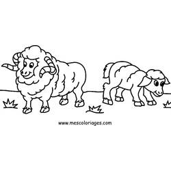 Coloring page: Sheep (Animals) #11456 - Free Printable Coloring Pages