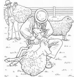 Coloring page: Sheep (Animals) #11461 - Free Printable Coloring Pages