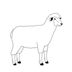 Coloring page: Sheep (Animals) #11471 - Printable coloring pages