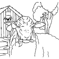 Coloring page: Sheep (Animals) #11479 - Free Printable Coloring Pages