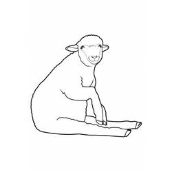 Coloring page: Sheep (Animals) #11492 - Free Printable Coloring Pages