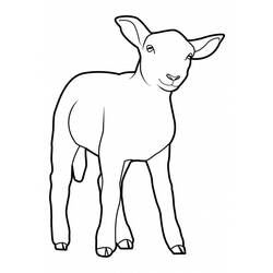 Coloring page: Sheep (Animals) #11502 - Free Printable Coloring Pages