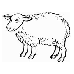 Coloring page: Sheep (Animals) #11503 - Free Printable Coloring Pages