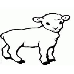 Coloring page: Sheep (Animals) #11505 - Printable coloring pages