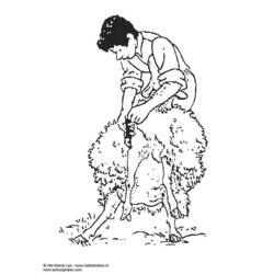 Coloring page: Sheep (Animals) #11511 - Free Printable Coloring Pages