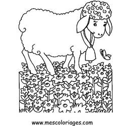 Coloring page: Sheep (Animals) #11533 - Free Printable Coloring Pages