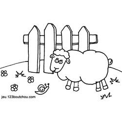 Coloring page: Sheep (Animals) #11539 - Free Printable Coloring Pages