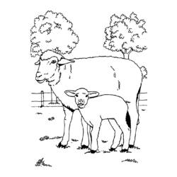 Coloring page: Sheep (Animals) #11544 - Printable coloring pages