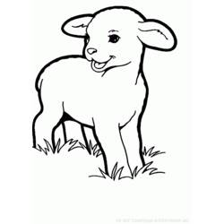 Coloring page: Sheep (Animals) #11548 - Printable coloring pages