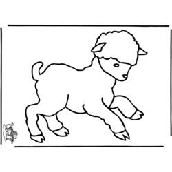Coloring page: Sheep (Animals) #11559 - Free Printable Coloring Pages