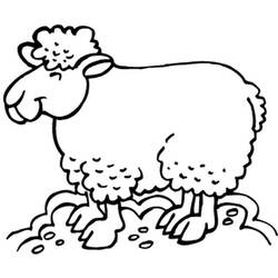 Coloring page: Sheep (Animals) #11571 - Free Printable Coloring Pages