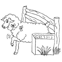 Coloring page: Sheep (Animals) #11577 - Free Printable Coloring Pages