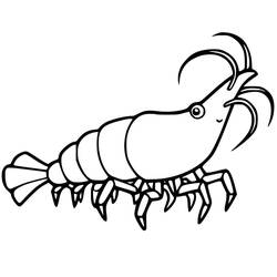 Shrimp (Animals) coloring page #208548 to print and color