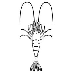 Shrimp (Animals) coloring page #208555 to print and color