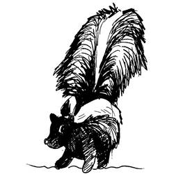 Coloring page: Skunk (Animals) #11192 - Printable Coloring Pages