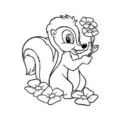 Coloring page: Skunk (Animals) #11236 - Printable coloring pages