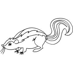 Skunk (Animals) coloring page #205280 to print and color