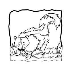 Skunk (Animals) coloring page #205281 to print and color
