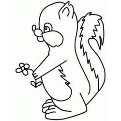 Skunk (Animals) coloring page #205287 to print and color