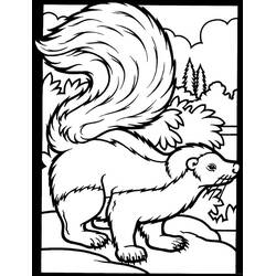 Skunk (Animals) coloring page #205301 to print and color
