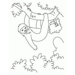 Coloring page: Sloth (Animals) #210406 - Free Printable Coloring Pages