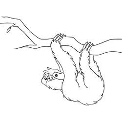 Coloring page: Sloth (Animals) #210411 - Free Printable Coloring Pages
