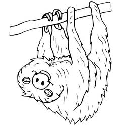 Coloring page: Sloth (Animals) #210413 - Free Printable Coloring Pages