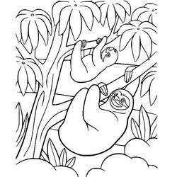 Coloring page: Sloth (Animals) #210429 - Free Printable Coloring Pages