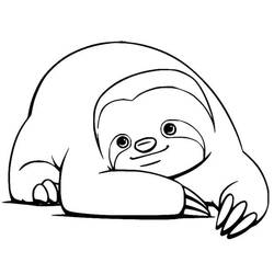 Coloring page: Sloth (Animals) #210437 - Free Printable Coloring Pages
