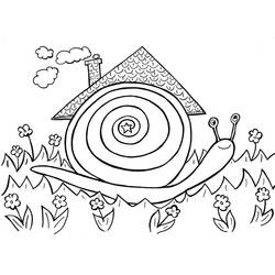 Snail (Animals) coloring page #177401 to print and color