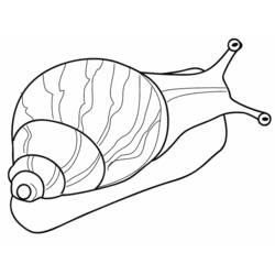 Coloring page: Snail (Animals) #6542 - Printable coloring pages