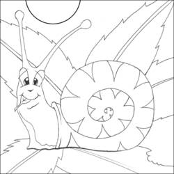 Coloring page: Snail (Animals) #6586 - Free Printable Coloring Pages