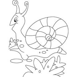Coloring page: Snail (Animals) #6590 - Free Printable Coloring Pages