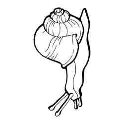 Coloring page: Snail (Animals) #6630 - Free Printable Coloring Pages