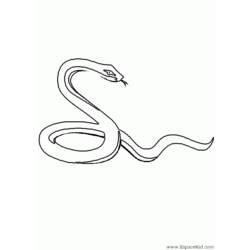 Coloring page: Snake (Animals) #14365 - Printable coloring pages