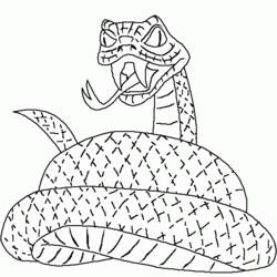 Coloring page: Snake (Animals) #14383 - Free Printable Coloring Pages