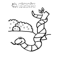 Coloring page: Snake (Animals) #14396 - Free Printable Coloring Pages